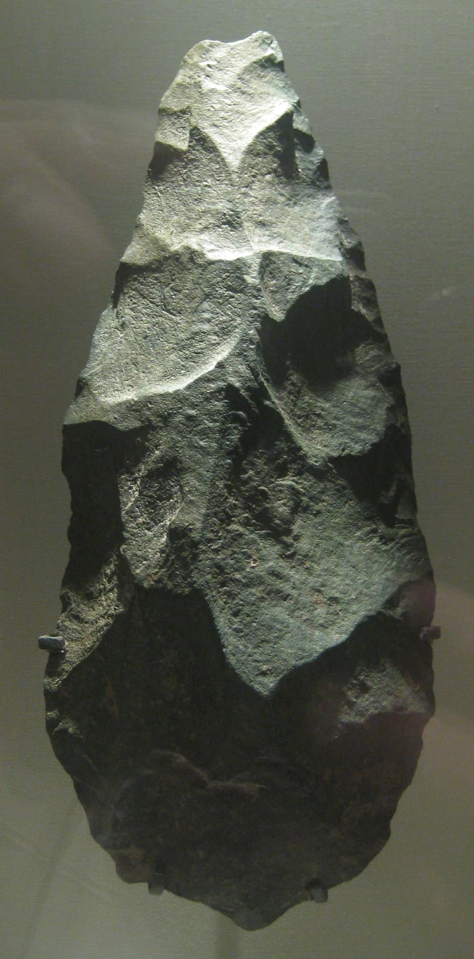 A dark grey-green stone tool shaped like a long teardrop, seen from one face against a grey background; broad, shallow scars left by removed flakes cover its surface and meet along a sharp outline.