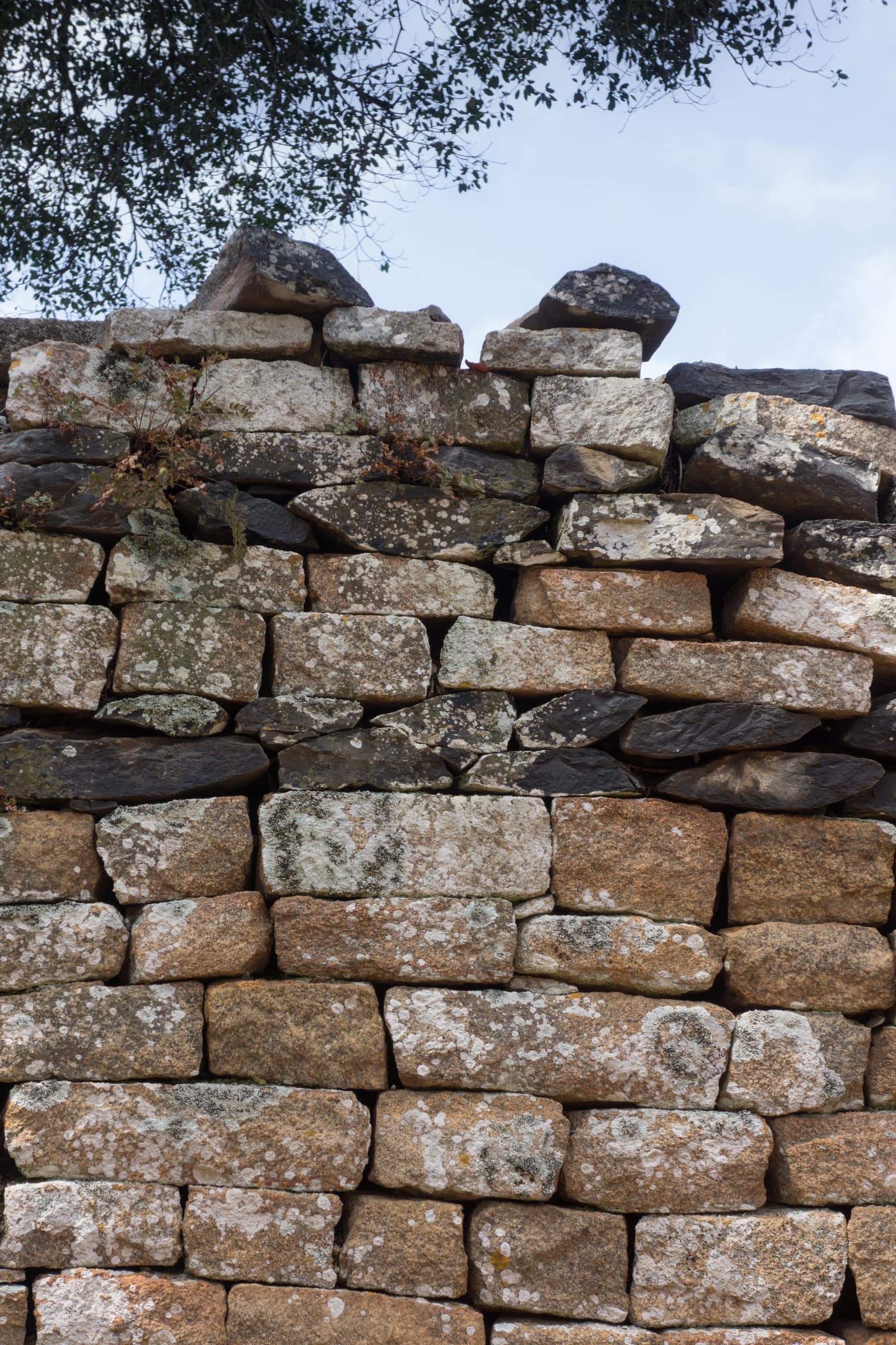 Close view of the top of a dry-stone wall in the Great Enclosure: rectangular granite blocks, grey and ochre and spotted with lichen, laid in even courses without mortar, with a band of darker stones near the top and a tree branch against a pale sky.