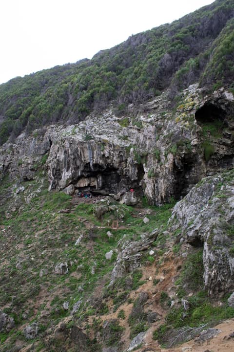 A steep coastal slope covered in low green fynbos shrubs, with grey limestone outcrops and a dark cave mouth opening in the rock partway up the cliff.