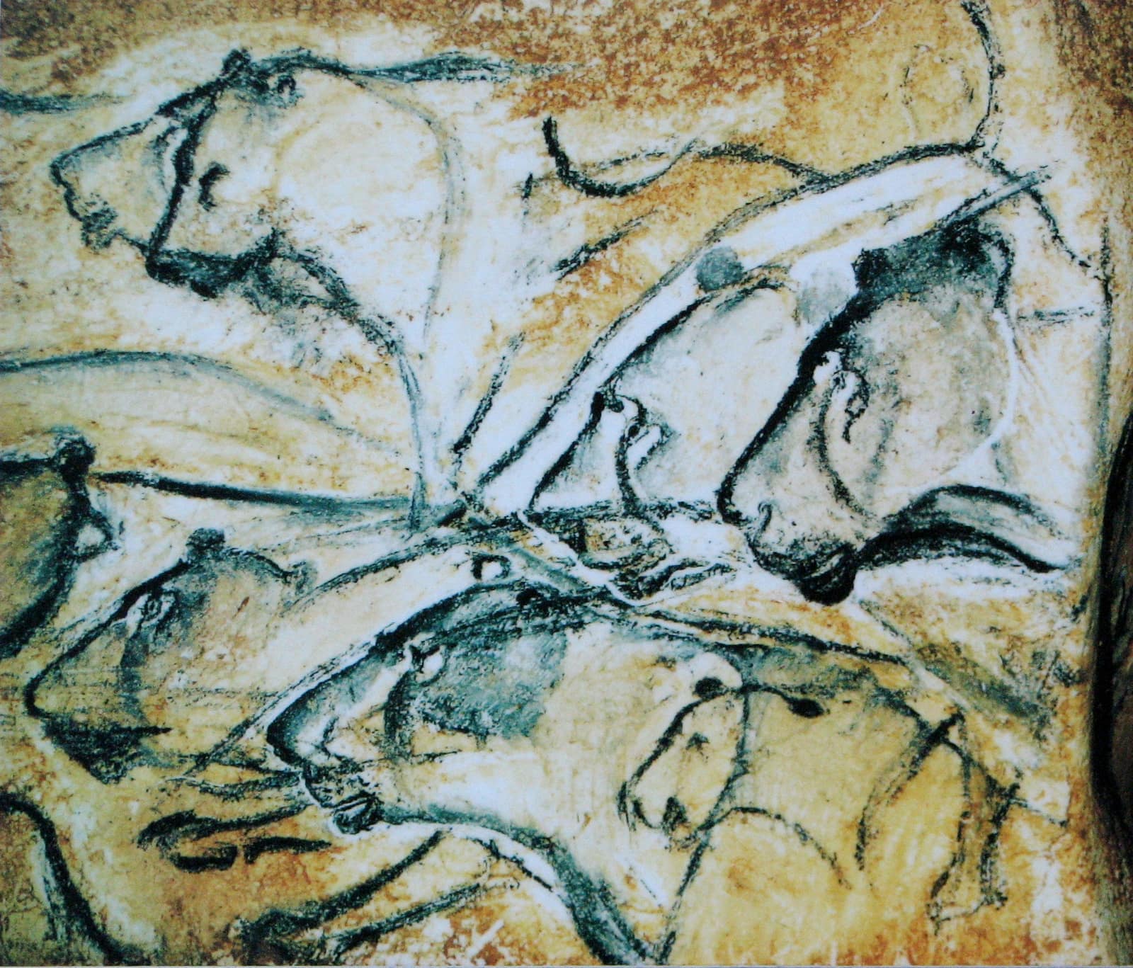 A museum replica of part of the lion panel: the heads and backs of several big cats drawn in black charcoal lines, overlapping one another as if moving from right to left, on a pale limestone wall stained with ochre and yellow.