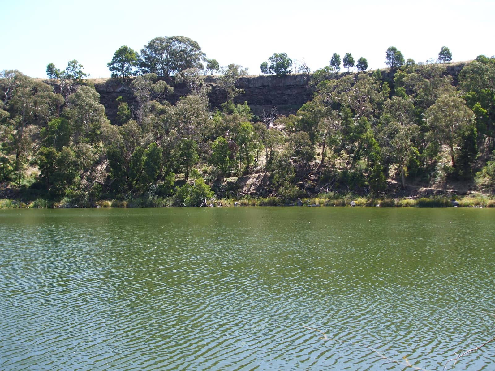 A still green lake fills the bottom of a volcanic crater; its far wall is a band of dark basalt cliff topped and fringed by gum trees and scrub, under a pale sky.