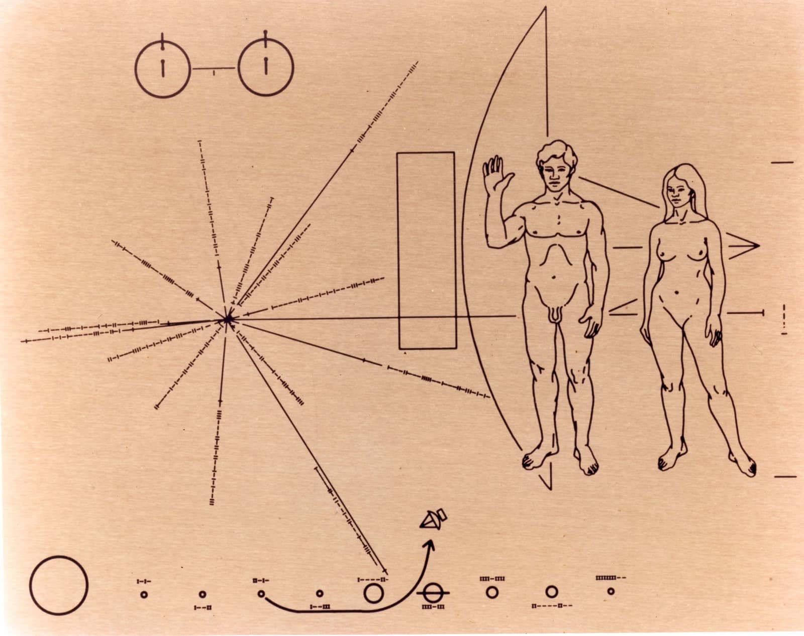 Une photographie de la plaque gravée, sur fond doré pâle. À droite, un homme nu, la main droite levée, et une femme nue se tiennent devant la silhouette de la sonde ; à gauche, de fines lignes rayonnant d'un point unique cartographient les pulsars ; en bas, une rangée de cercles figure le Soleil et ses planètes, et une flèche courbe part de la troisième ; en haut à gauche, deux petits cercles reliés par un trait représentent l'atome d'hydrogène.