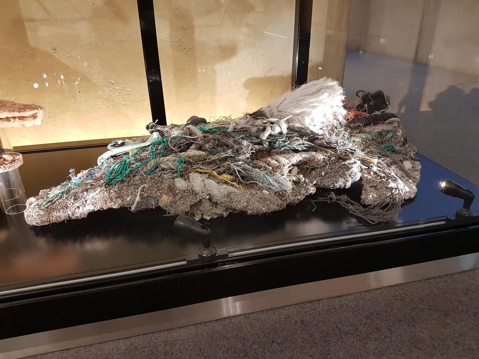Une longue dalle basse repose dans une vitrine éclairée : une croûte grise et granuleuse de sable et de petits cailloux, dans laquelle sont prises, fondues, des masses emmêlées de cordages et de filets de pêche verts, bleus, jaunes, orange et blancs ; des fibres blanches effilochées jaillissent d'une extrémité, et des éclats de plastique dur affleurent à la surface.