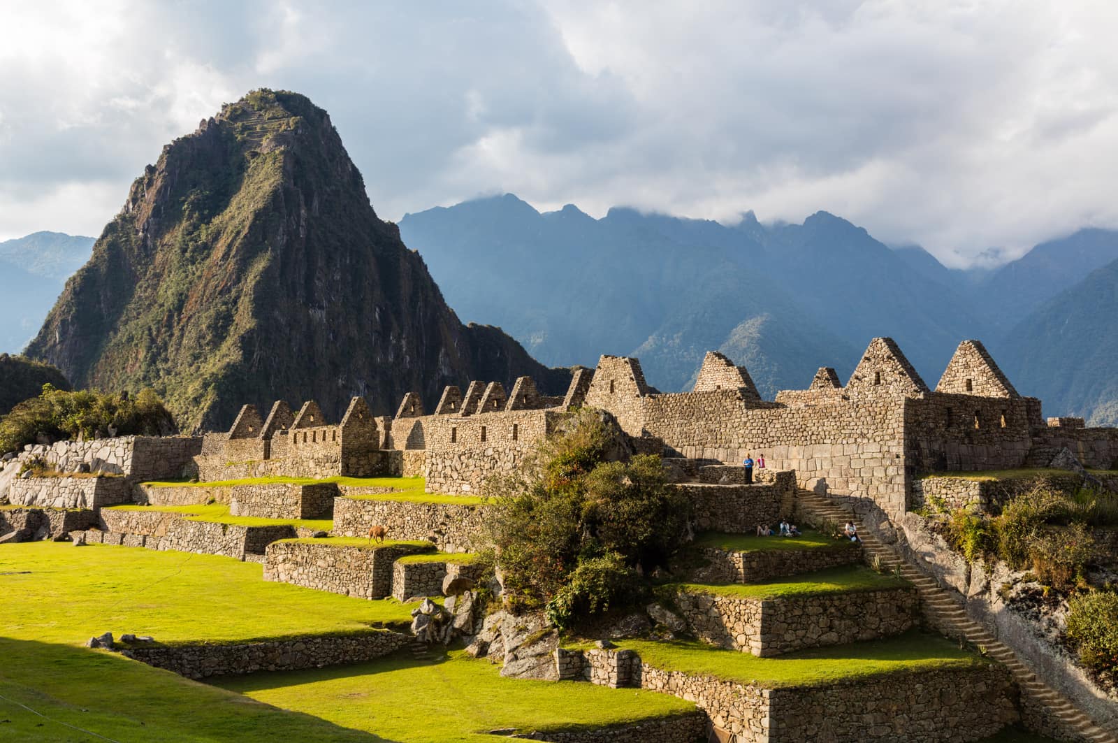 Lumière de fin d'après-midi sur les édifices de pierre de Machu Picchu : une longue rangée de maisons sans toit, aux pignons triangulaires pointus, se dresse sur une crête au-dessus de terrasses en gradins d'herbe vert vif retenues par des murs de pierre sèche, avec un escalier de pierre à droite ; quelques visiteurs et un lama donnent l'échelle. Derrière s'élève le pic aigu et boisé du Huayna Picchu, et des montagnes bleues s'estompent sous les nuages au loin.
