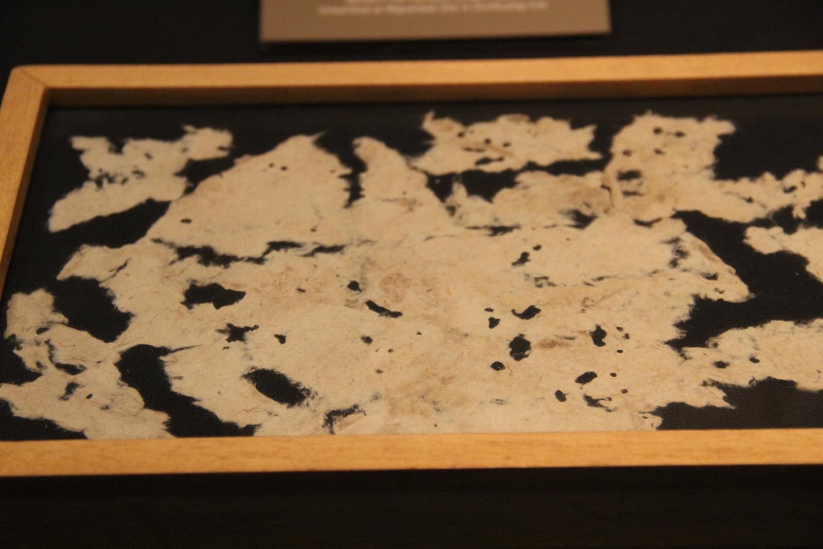 Une mince feuille de papier beige pâle, déchirée, posée à plat sur un tissu noir dans un cadre peu profond de bois clair, dans une vitrine de musée. Ses bords sont découpés en lobes irréguliers et elle est percée de nombreux petits trous sombres ; de près, des fibres lâches apparaissent à sa surface rugueuse. Aucune écriture n'est visible.
