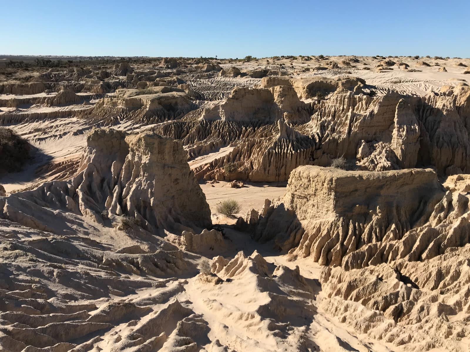Un paysage sec sous un ciel bleu sans nuage : des crêtes de sable et d'argile pâles, sculptées par le vent et la pluie en ravines, en aiguilles et en pentes striées, avec quelques arbustes bas d'un vert gris. C'est la lunette du lac Mungo, dans la région des lacs Willandra, et non le site des empreintes, qui reste recouvert et n'est pas montré ici.